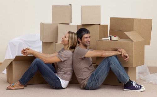 Internal review of a removals complaint and possible remedy